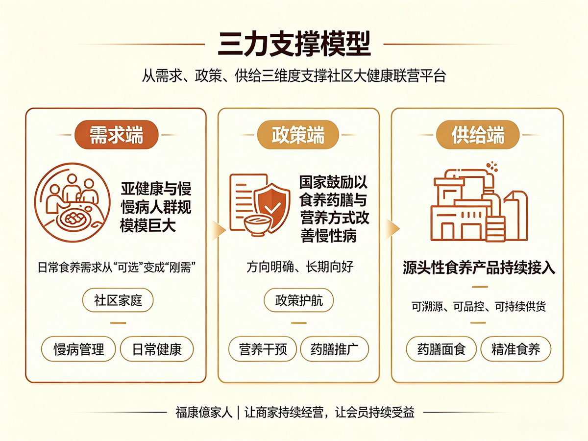 三力支撑示意图